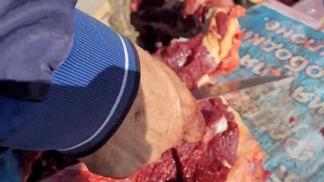 Соғым 2023. Жылқы етін жіліктеудің ұлттық-дәстүрлі әдісі. соғым сою. смотреть онлайн