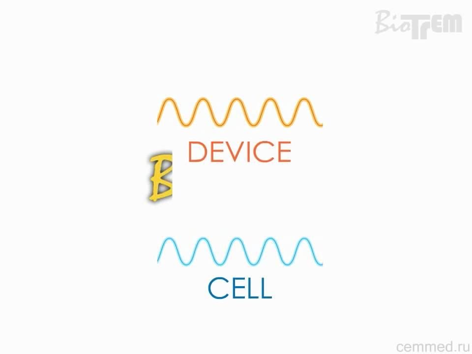 BioTrEM-technology