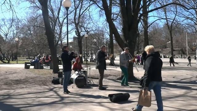 STREET MUSIC │ Tallinn │ Estônia смотреть онлайн