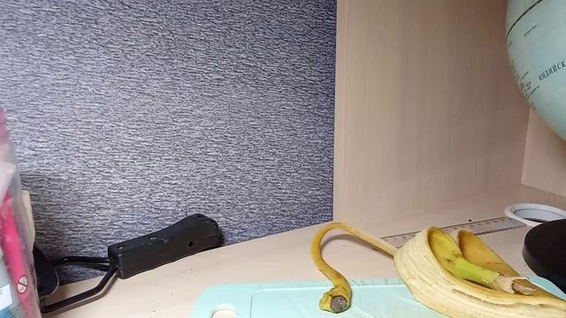 1000000894.mp4 смотреть онлайн