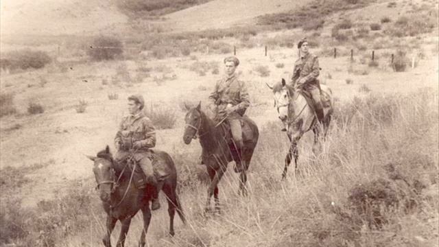 Коричневая пуговка смотреть онлайн