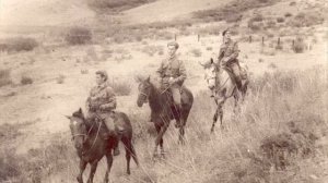 Коричневая пуговка