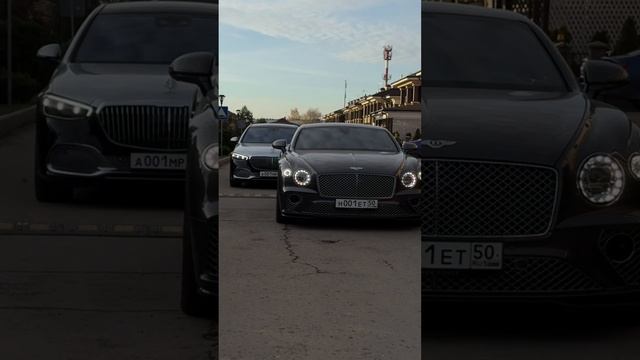 Мои ласточки ❤️