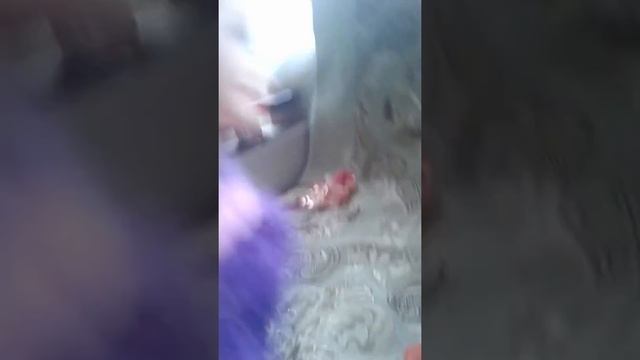 11 января 2018 г. смотреть онлайн