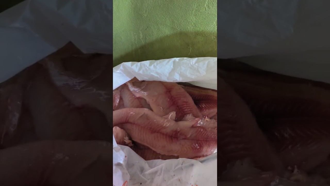 Сюрприз внутри щуки Разделка рыбы! Хищные щуки! #рыбалка #рыба #филе #щука #река #fishing #еда