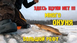 ЗДЕСЬ ЩУКИ НЕТ! МНОГО ОКУНЯ!!!  БОЛЬШОЙ РЕФТ
