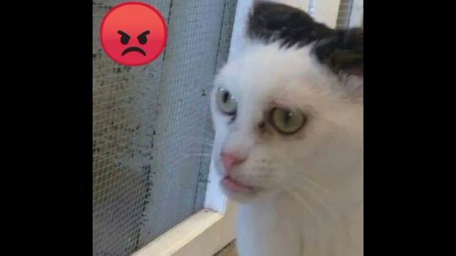 моё настроение каждый день смотреть онлайн