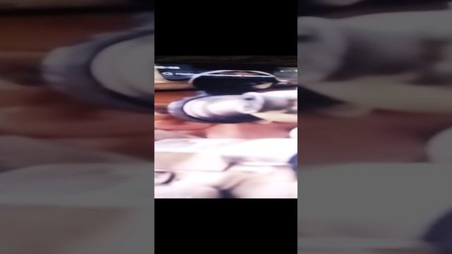 VID_20241208_084610.mp4 смотреть онлайн