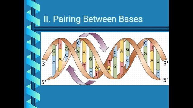 Sayanti BagchiDNA Replication InitiationYSPM смотреть онлайн