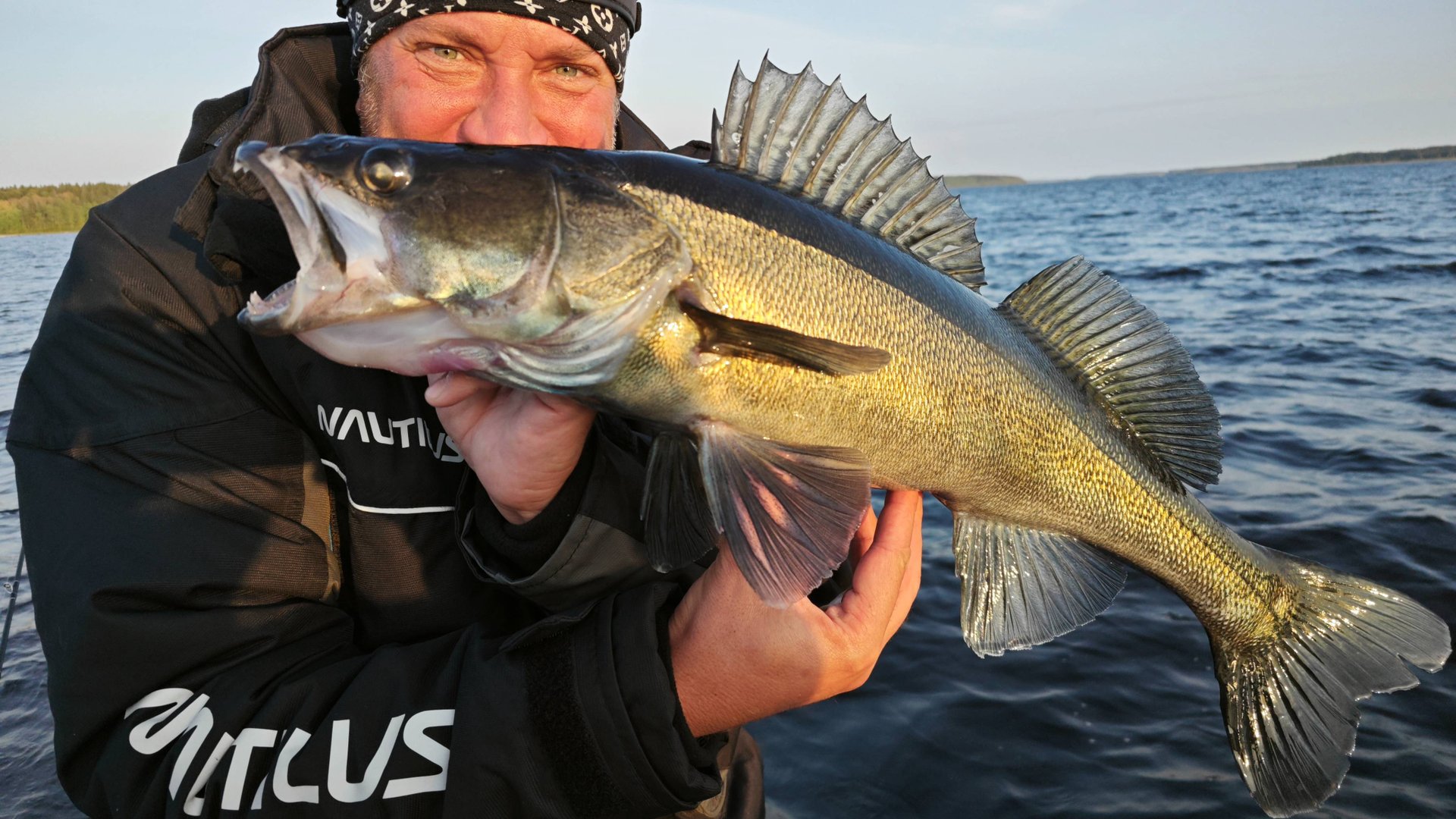 (часть 2) Рыбалка в Карелии, Ладожское озеро, залив Уксунлахти 2024 - Ловля судака на Ладоге