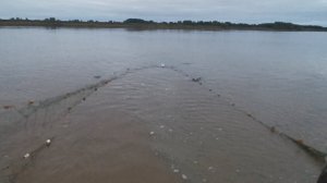 Лучший Замёт НЕВОДОМ / Рыбалка На НЕВОД/ В Гостях У Отшельника В Глухой Тайге!