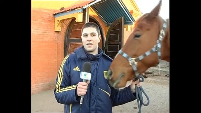 Как Дима пробывал прочитать непонятный текст смотреть онлайн