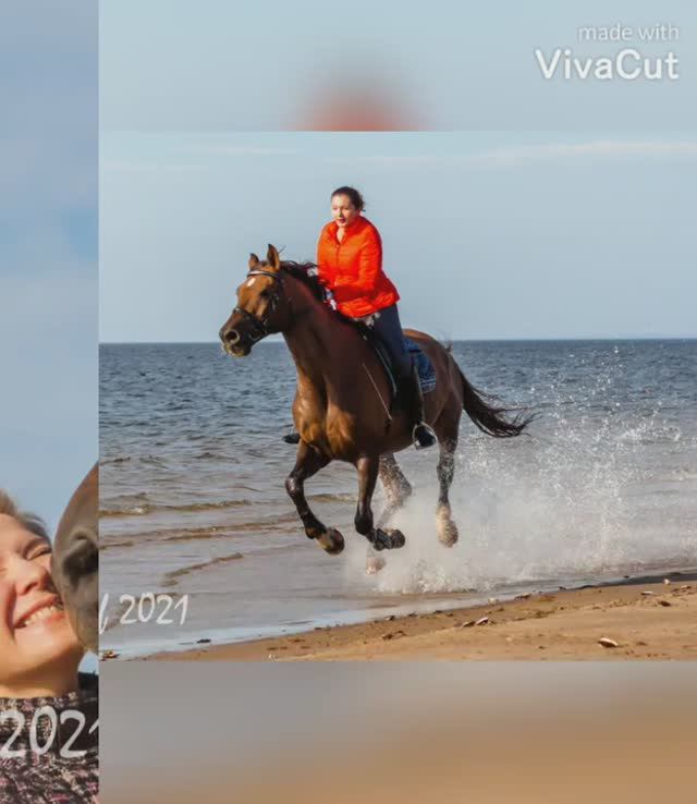 фотосессия в Кронштадте монтаж смотреть онлайн