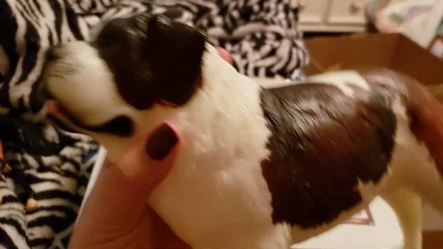 Breyer Unboxing, First Collectors Club Model смотреть онлайн