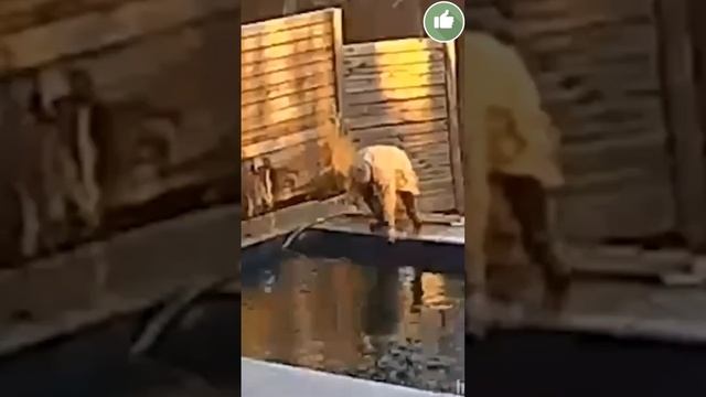Корпорация Юмора - Веселые видеоролики . Вспоминаем лето тепло отдых смотреть онлайн