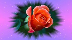 Футаж. Цветочный фон 201