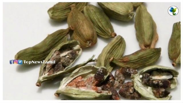 தினமும் ஏலக்காயை உணவில் சேர்த்துக் கொண்டால் இவ்வளவு அற்புத நன்மைகளா தவறாமல் பாருங்க | Cardamon tea смотреть онлайн