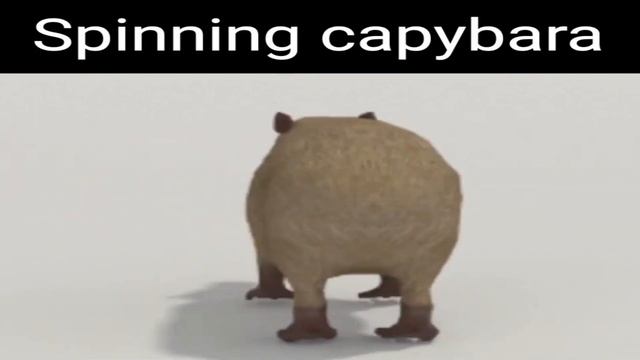 CAPYBARA SPINNING 1HOUR - Funky Town low quality theme смотреть онлайн