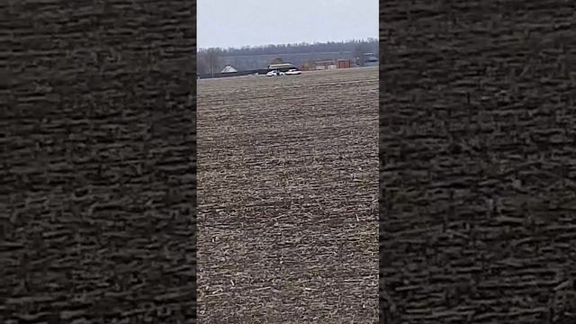 Погоня гибдд по полям.mp4