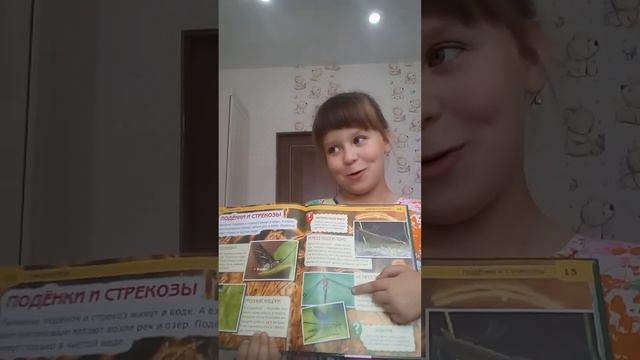 Мир насекомых. смотреть онлайн