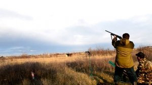 учимся стрелять по тарелочкам