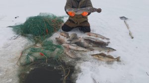 Зимняя Рыбалка На Сети / 5 Видов Рыб На Сети!