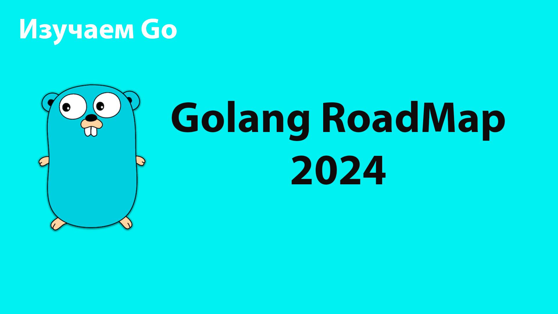 Как учить Go в 2024. Обсуждаем Roadmap смотреть онлайн