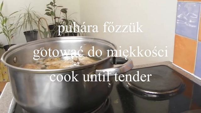 Tarragon Meat With Dumplings Video Recipe-Tarkonyos hus galuskaval- miesa Tarragon kluski смотреть онлайн