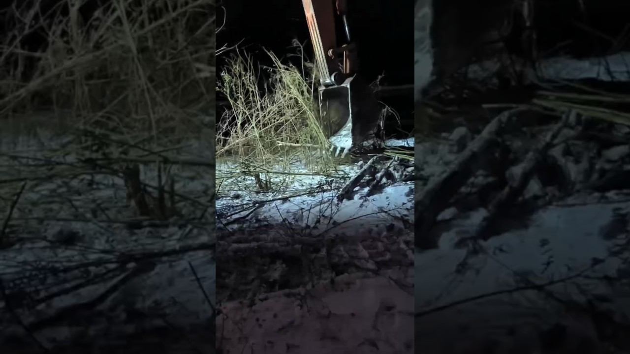 Прополка тальника экскаватором! #река #тальник #прополка #рыбалка #техника #трактор #кран