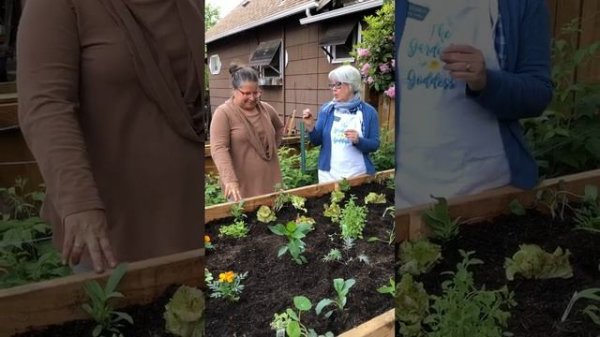 The Gardening Goddess: Companion Planting Vegetable Gardens