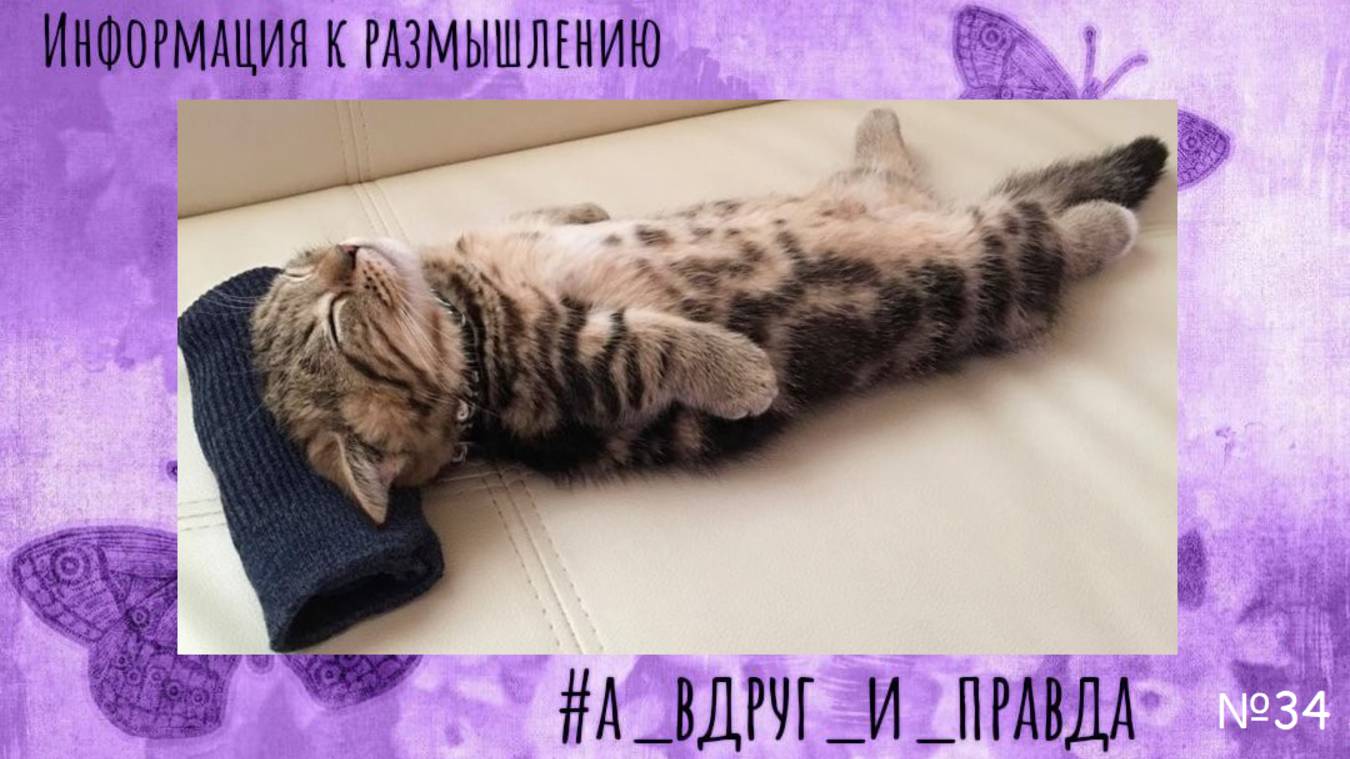 Скучность просветления смотреть онлайн