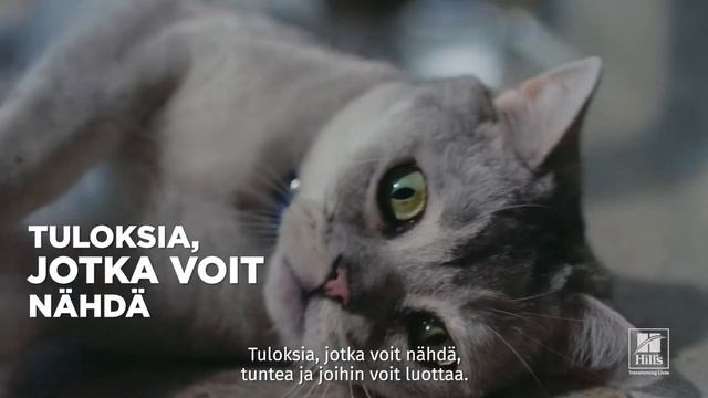 Hill's Pet Nutrition: Etumatkalla kohti parasta elämää (lyhyt versio) смотреть онлайн