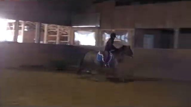 Beaverwoods Paprika смотреть онлайн