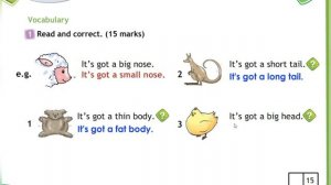 Готовимся к контрольной работе Модуля 5, spotlight 3 класс. (часть 1)