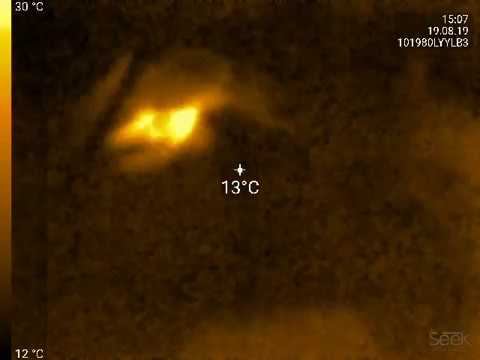 seek thermal 204x160 focus+ смотреть онлайн