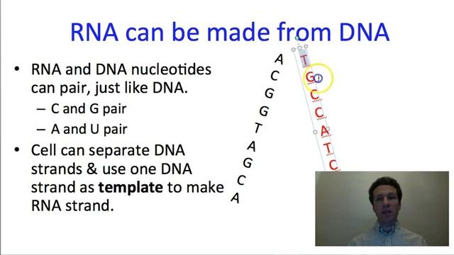 Nucleic acids смотреть онлайн