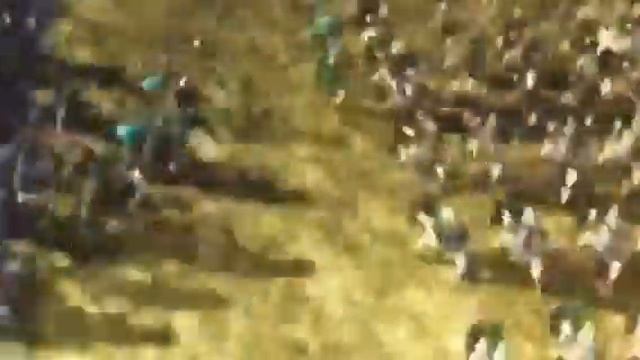 Arminian tribes battle against the romans смотреть онлайн