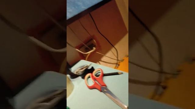 Eating hotdog sushi смотреть онлайн