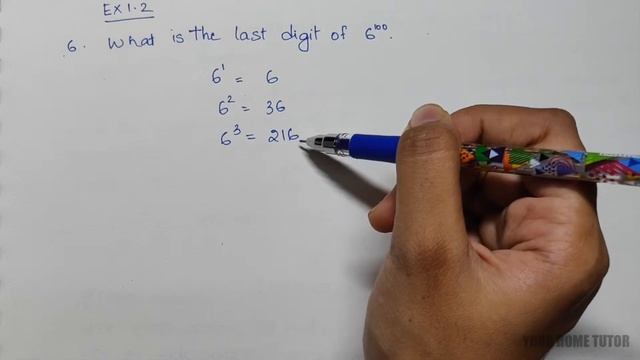 What is the last digit of 6^100 ? смотреть онлайн