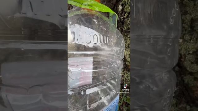 Березовый сок смотреть онлайн