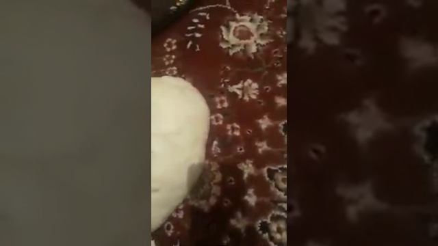 Хаха КАМЫР ЖУУРУП АПАсына жардам кылган ЭГИЗ балакайлар смотреть онлайн