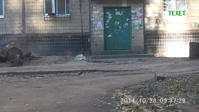 Из Одной птицы Две смотреть онлайн