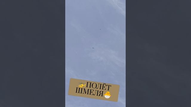🚁ПОЛЁТ ШМЕЛЯ🐣 смотреть онлайн
