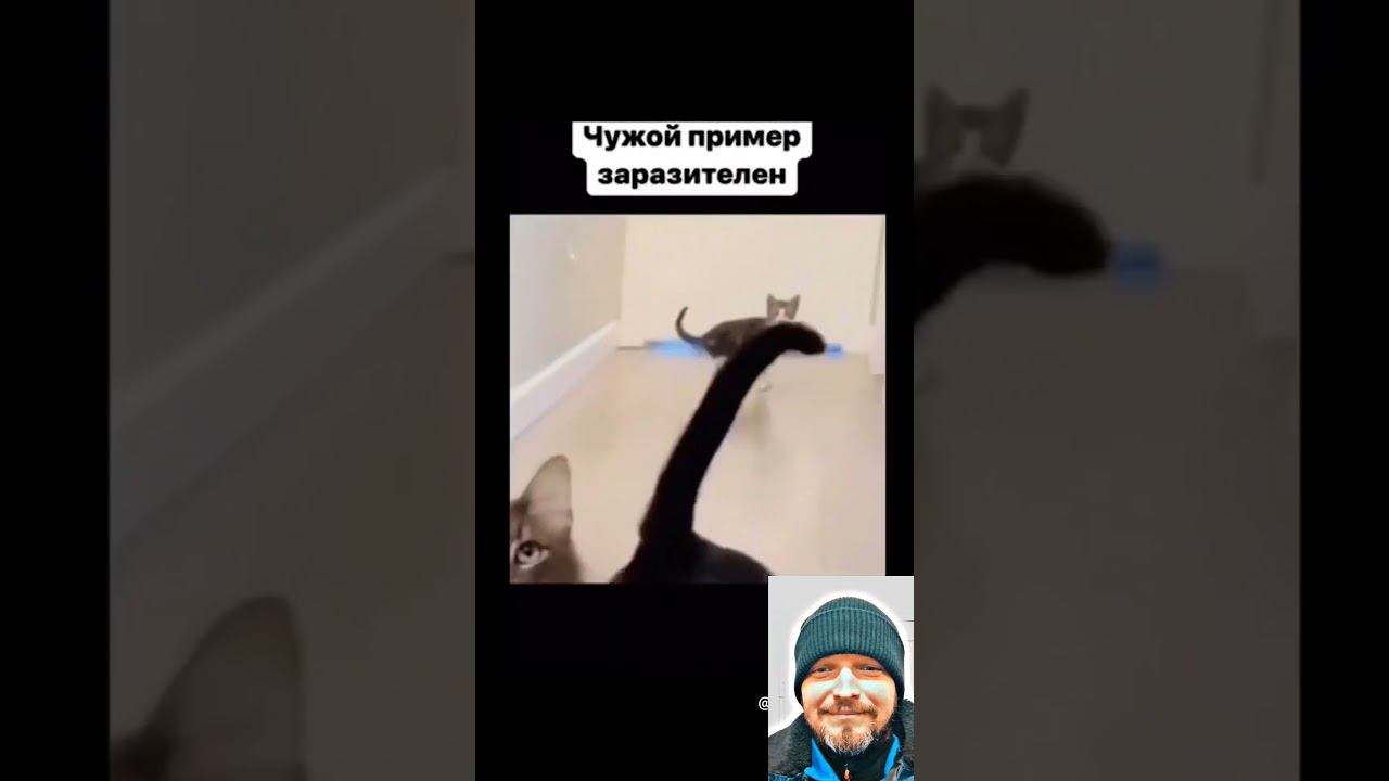 Чужой пример заразителен смотреть онлайн