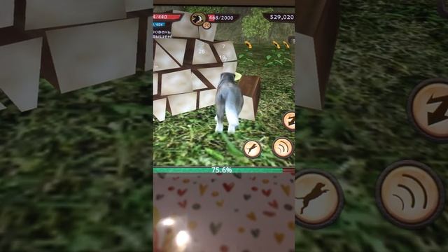 Играем в Симулятор собаки смотреть онлайн