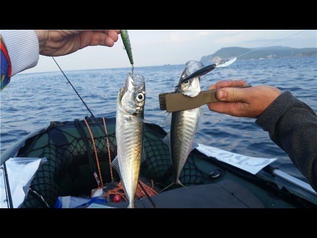 СТАВРИДА - МОРСКАЯ РЫБАЛКА НА ЧЕРНОМ МОРЕ!!! смотреть онлайн