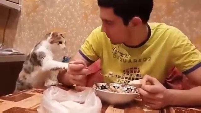 смешная песня про пост смотреть онлайн