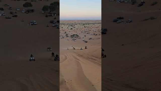Desert Drive смотреть онлайн