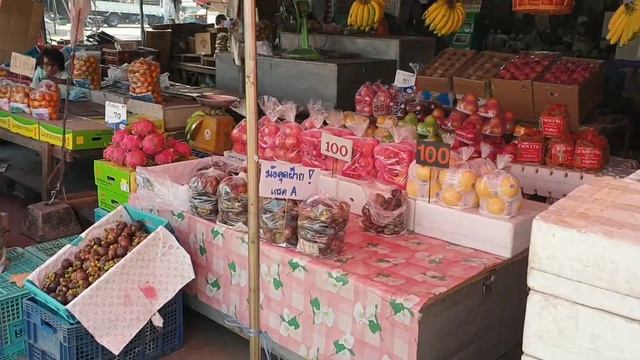 Durians Crikey in Need A Doctor Thailand смотреть онлайн