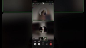 Обзвон на сс ФСБ